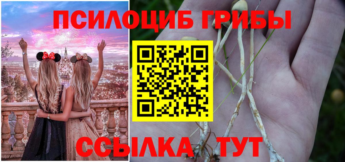 Псилоцибиновые грибы Cubensis  Вход с VPN  Гусь-Хрустальный 