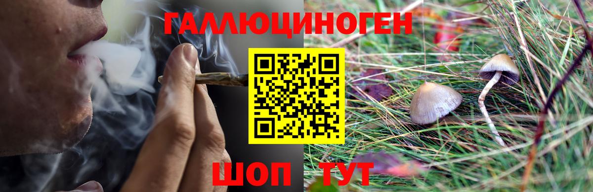 Псилоцибиновые грибы мухоморы Гусь-Хрустальный